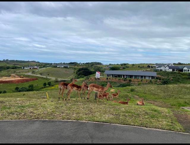 LAND FOR SALE IN SPRINGVALE COUNTRY ESTATE